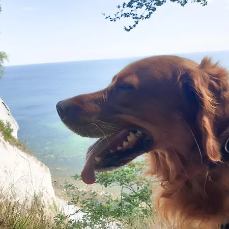 Kuestenkind Mit Balkon Und Sauna - Hunde Willkommen!